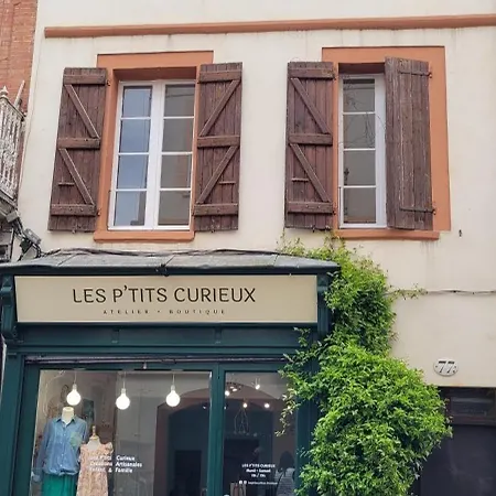 Le Nid De La Colombe - Hypercentre Apartment Toulouse